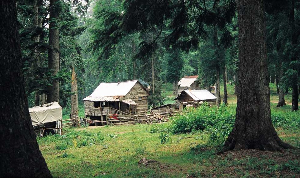 abant-sinekli-yaylasi